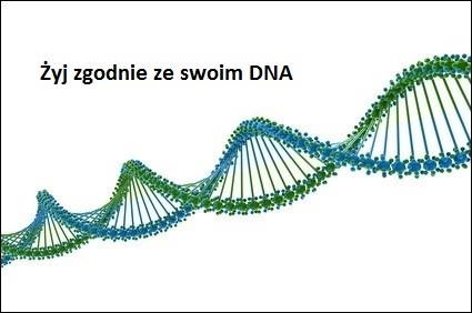 Żyj zgodnie ze swoim DNA